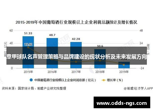 意甲球队名声管理策略与品牌建设的现状分析及未来发展方向