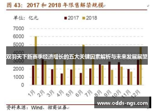 双羽天下新赛季经济增长的五大关键因素解析与未来发展展望
