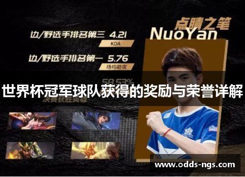 世界杯冠军球队获得的奖励与荣誉详解