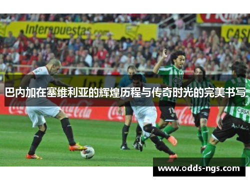巴内加在塞维利亚的辉煌历程与传奇时光的完美书写