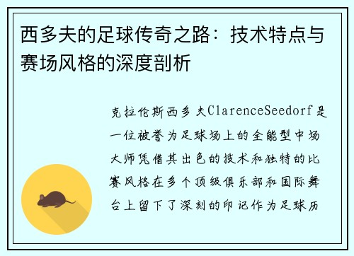 西多夫的足球传奇之路：技术特点与赛场风格的深度剖析